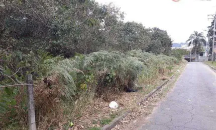 Terreno à venda na Alameda Dos Pinheiros, 180, Centro, Caieiras
