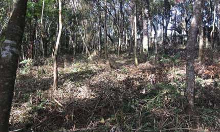 Terreno Em Condomínio A Venda Jardim Cinco Lagos Mairiporã