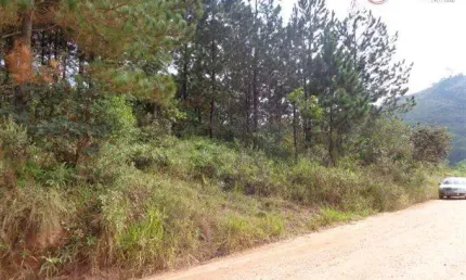 Terreno à venda na Alameda dos Pinheiros, 180, Pirucaia, Mairiporã