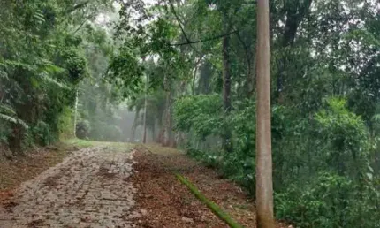 Terreno em Condomínio para Venda em Mairiporã, Parque Germania
