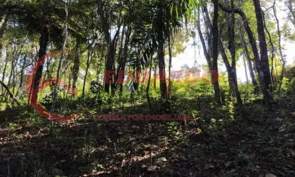 Terreno em Condomínio para Venda em Mairiporã, Jardim Lago Da Cantareira