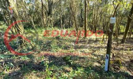 Terreno à venda na Alameda dos Pinheiros, 180, Mato Dentro, Mairiporã