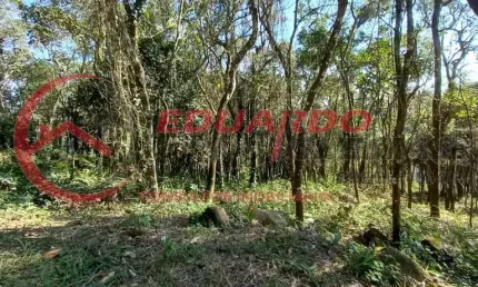 Terreno à venda na Alameda dos Pinheiros, 180, Mato Dentro, Mairiporã