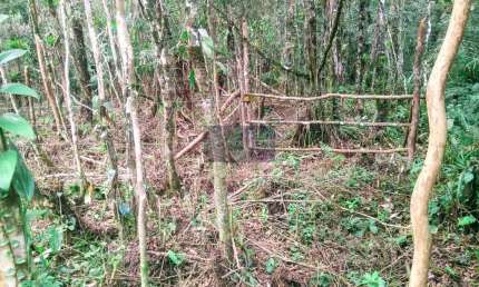 Terreno à venda no Balneário Gaivota, Itanhaém  por R$ 60.000