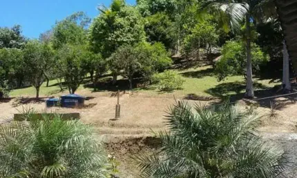 Chácara / sítio à venda no Testo Salto, Blumenau 