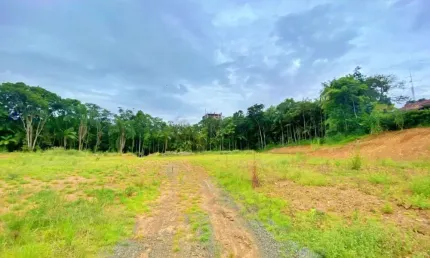 Magnífico terreno 7.800m2 - próximo a rua general osório