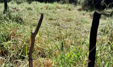 Terreno à venda, 6500 m² por R$ 220.000,00 - Floresta Encantada - Esmeraldas/MG