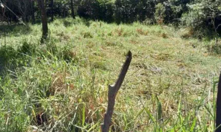 Terreno à venda, 250 m² por R$ 114.000,00 - Jardim Verona - Ribeirão das Neves/MG