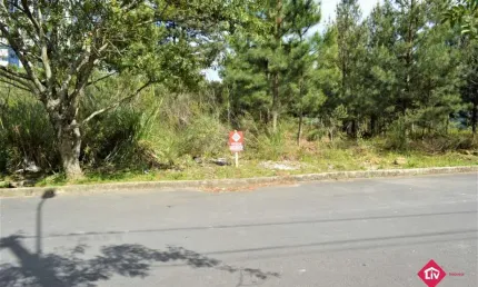 Terreno à venda na Rua Guerino Uez, 05, Vila Verde, Caxias do Sul
