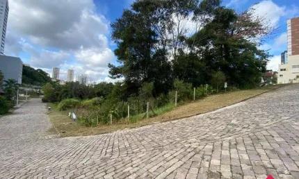 Terreno à venda na Rua Luiz Pezzi, 18, Panazzolo, Caxias do Sul