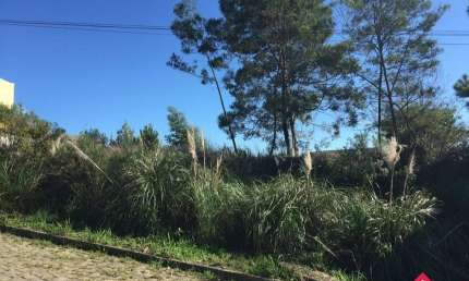 Terreno à venda na Rua João Antônio de Mattos, 320, Salgado Filho, Caxias do Sul por R$ 180.000