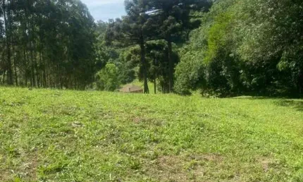 Chácara / sítio à venda na Carlos Debastiani, 00, Desvio Rizzo, Caxias do Sul por R$ 1.600.000
