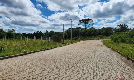 Terreno à venda na Rua Arlindo Antonio Saccaro, 100, Ana Rech, Caxias do Sul por R$ 265.000