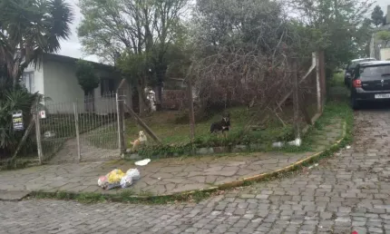 Terreno para Venda - 452m², 0 dormitórios, São Leopoldo