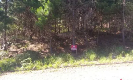 Terreno para venda - 375m², 0 dormitórios, parada cristal