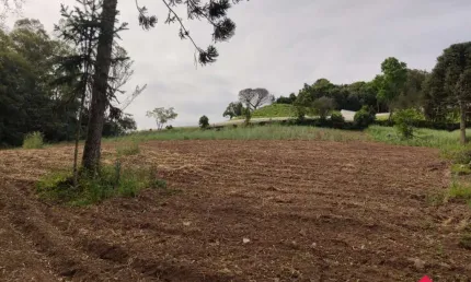 Chácara / sítio à venda na Estrada Municipal Vereador Vicente Menezes, 1570, Linha 40, Caxias do Sul