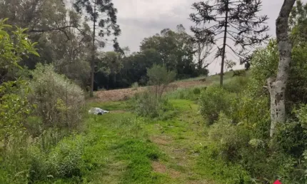Terreno para Venda - 83220.9m², 0 dormitórios, Linha 40