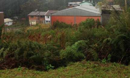 Terreno para Venda - 360m², 0 dormitórios, Cinqüentenário
