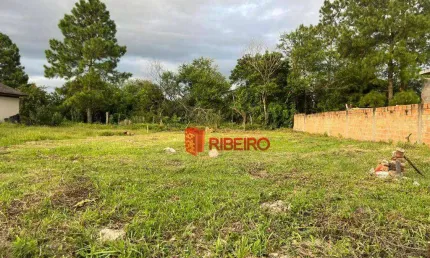 Excelente Terreno à venda, 357 m² por R$ 110.000 - Santa Bárbara - Araranguá/SC