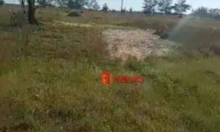 Terreno à venda, 300 m² por r$ 40.000,00 - arpoador - balneário arroio do silva/sc