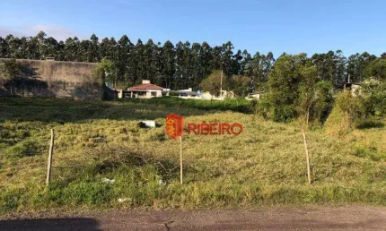 Terreno à venda, 360 m² por R$ 75.000,00 - Jardim Cibeli - Araranguá/SC