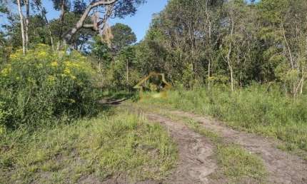Terreno à venda na Avenida São Sebastião, Jardim das Acácias, Quatro Barras