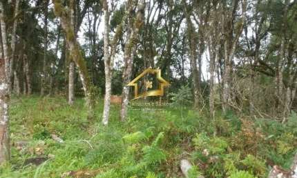 Terreno à venda na Rodovia do Caqui, Centro, Campina Grande do Sul