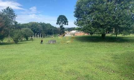 Chácara / sítio com 2 quartos à venda na Estrada Do Pocinho, Pocinho, Quatro Barras