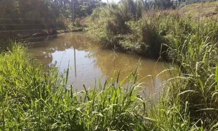 Chácara para venda,  São Braz, Caxias Do Sul - CH101130
