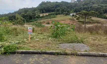 Terreno para venda,  são luiz, caxias do sul - te101325