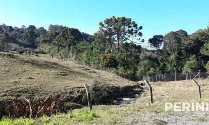Terreno  para  venda cruzeiro caxias do sul - pe00655