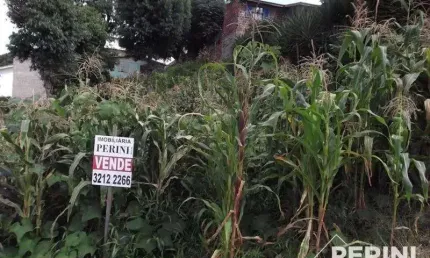 Terreno  para  venda cruzeiro caxias do sul - pe00308