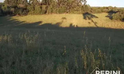 Chácara  para  Venda Vila Oliva Caxias do Sul - COOO100037