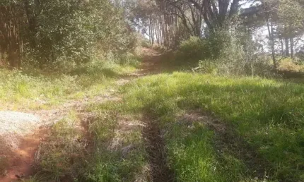 Chácara / sítio à venda na Nossa Senhora das Graças, Caxias do Sul 