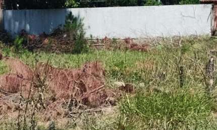 TERRENO à venda no Bairro CAPÃO NOVO com 300 m² de área privativa