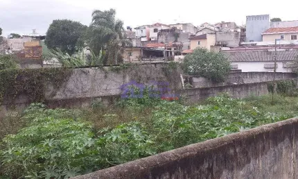 Terreno, 1194 m² - venda por R$ 3.600.000,00 ou aluguel por R$ 7.150,00 - Jardim Vila Formosa - São