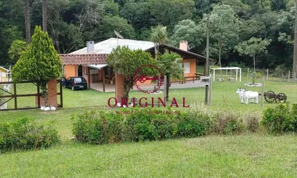 Chácara / sítio com 4 quartos à venda na Avenida Rio Branco, 1, Vila Seca, Caxias do Sul por R$ 950.000