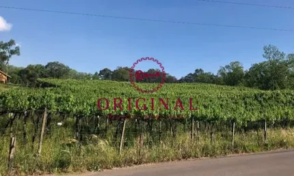 Terreno à venda na Estrada Municipal Valentino Venturin, 3460, Monte Bérico, Caxias do Sul por R$ 10.000.000