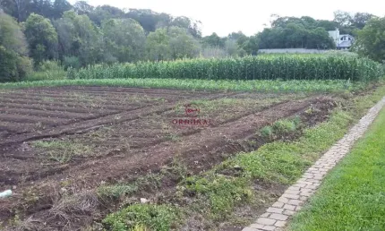 Terreno à venda na Estrada Vereador Marcial Pisoni, 1, Nossa Senhora da Saúde, Caxias do Sul por R$ 2.000.000