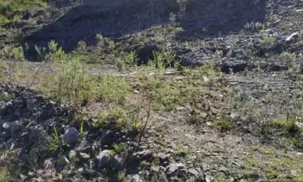 Terreno à venda na rua joão eli silveira, nossa senhora das graças, caxias do sul por r$ 345.000