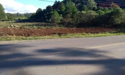 Terreno à venda na Estrada Municipal Antonio Soldatelli, Nova Roma (Distrito), Flores da Cunha por R$ 1.600.000