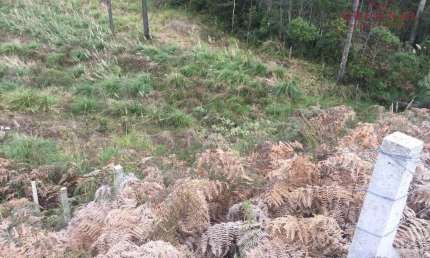 Terreno à venda na Rua Guerino Sanvitto, 0000, Sanvitto, Caxias do Sul por R$ 2.300.000