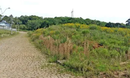 Terreno à venda na Estrada Municipal Avelina Tomazzoni Piccoli, 808, Monte Bérico, Caxias do Sul por R$ 195.000