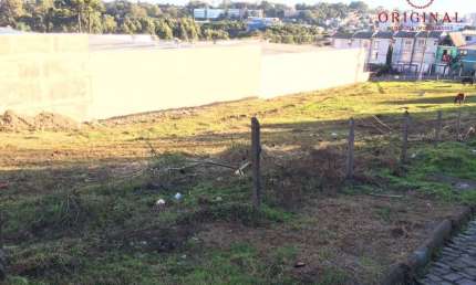Terreno à venda na Rua Amoroso Costa, 0000, Presidente Vargas, Caxias do Sul por R$ 309.000