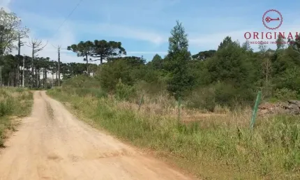 Terreno à venda na Travessão Victor Emanuel, 025, Maestra, Caxias do Sul por R$ 800.000