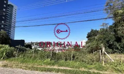 Terreno à venda na rua pedro pezzi, 1236, panazzolo, caxias do sul por r$ 2.500.000