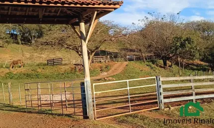 SÍTIO COM 35.204 M², FRENTE PARA A PR 445, SALTINHO LONDRINA PR