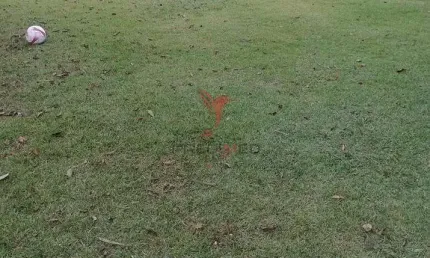 Terreno plano de 1100 mts2, á venda na Colônia em Guaratinguetá. Analisa permuta