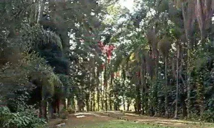 Sítio em mairiporã com 5  casas grandes, 19600 mts² , todo cercado, água e poço