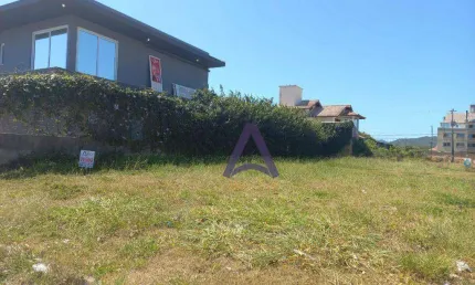 Terreno à venda, 533 m² por R$ 1.950.000,00 - Campeche - Florianópolis/SC